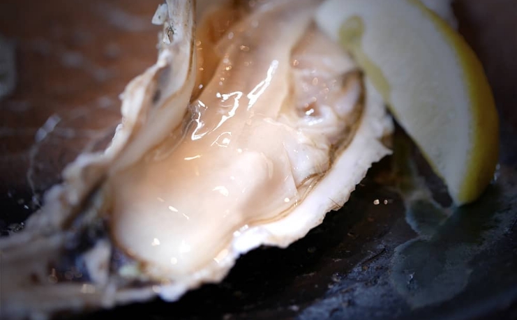 厚岸の牡蠣　マルえもん
